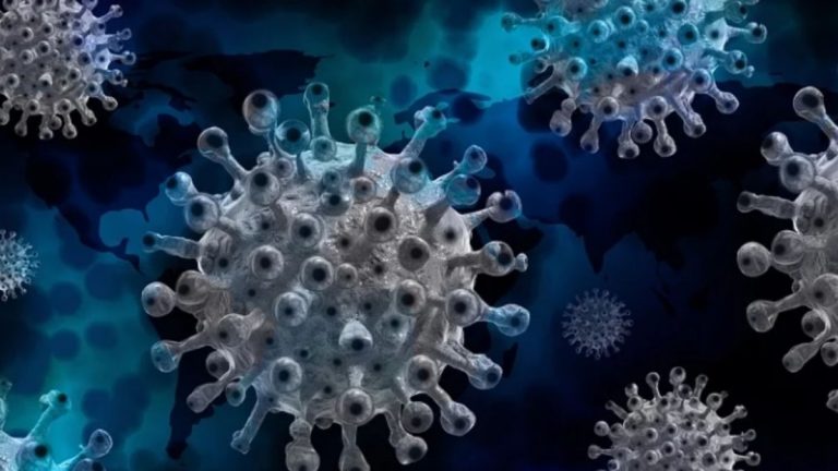 Virus, nuova allerta dei ricercatori, ne potrebbero arrivare 15mila entro il 2070