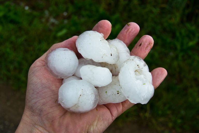 METEO – Violentissima GRANDINATA causa danni e ALLAGAMENTI al centro Italia: chicchi come noci e automobili danneggiate METEO – Violentissima GRANDINATA causa danni e ALLAGAMENTI al centro Italia: chicchi come noci e automobili danneggiate