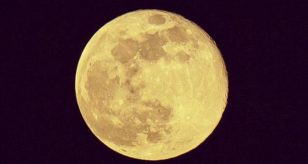 Luna nuova