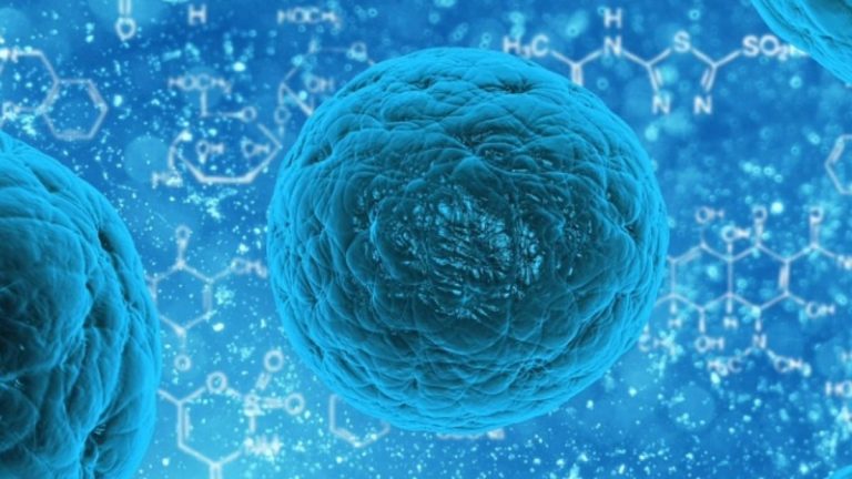 Nuova epidemia di malattia intestinale sconosciuta, è stata ordinata la quarantena: ecco cosa sta succedendo in Corea del Nord