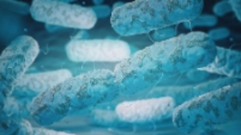 Legionella, aumentano i casi in Italia: di cosa si tratta e quali sono i sintomi