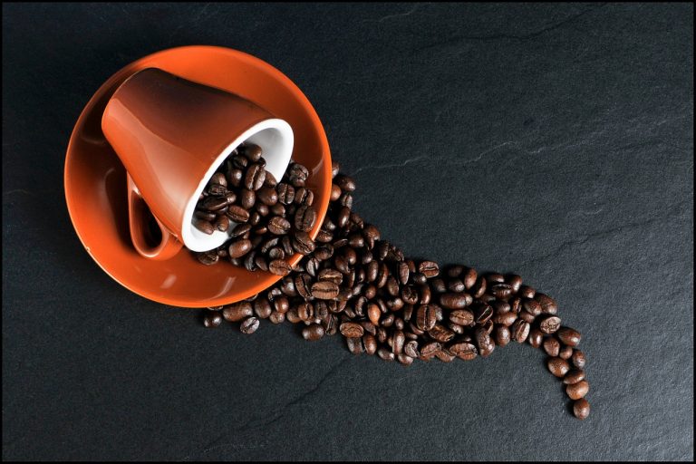 Acrillamide e insetti nel caffè, ecco i risultati di un test che ha svelato la presenza di questa sostanza cancerogena in alcune marche