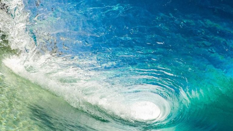 Gli scienziati hanno trovato strani buchi nel fondo dell’Oceano, di cosa si tratta? Gli scienziati hanno trovato strani buchi nel fondo dell’Oceano, di cosa si tratta?