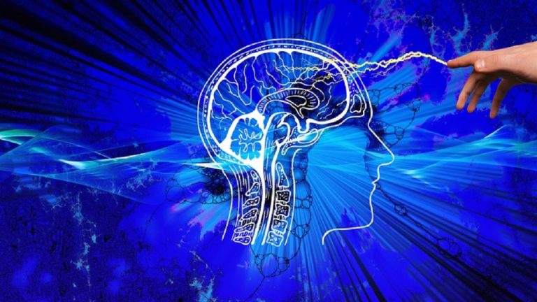 Cosa succede alle nostre cellule dopo i 70 anni? Ecco il segreto incredibile svelato dagli scienziati Cosa succede alle nostre cellule dopo i 70 anni? Ecco il segreto incredibile svelato dagli scienziati