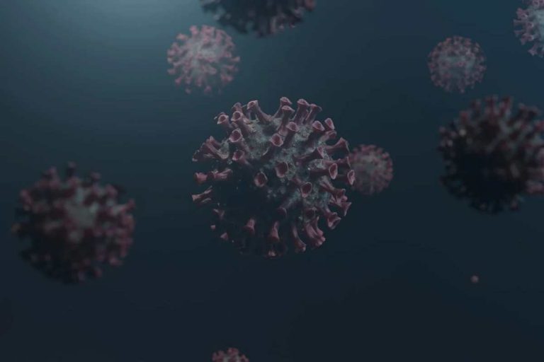 Nuovo virus in Cina: ecco quali sono le sue caratteristiche e cosa è stato scoperto. Tutti i dettagli Nuovo virus in Cina: ecco quali sono le sue caratteristiche e cosa è stato scoperto. Tutti i dettagli