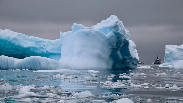 La calotta glaciale più grande al mondo si può ancora salvare, l’appello dei ricercatori: ‘Agire in fretta’ La calotta glaciale più grande al mondo si può ancora salvare, l’appello dei ricercatori: ‘Agire in fretta’