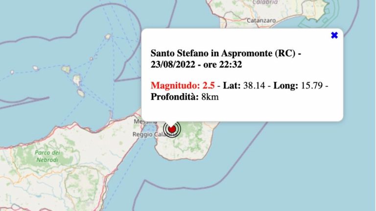 Terremoto in Calabria oggi, martedì 23 agosto 2022: scossa M 2.5 in provincia di Reggio | Dati INGV