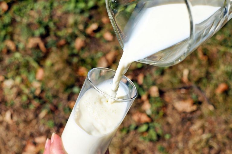 Il latte sintetico è (quasi) realtà: ecco di cosa si tratta Il latte sintetico è (quasi) realtà: ecco di cosa si tratta