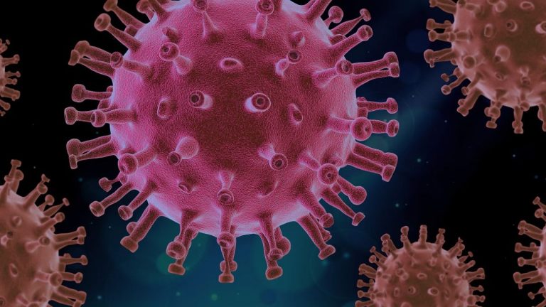 Coronavirus, possibili seri danni al cervello per i contagiati: i risultati dello studio
