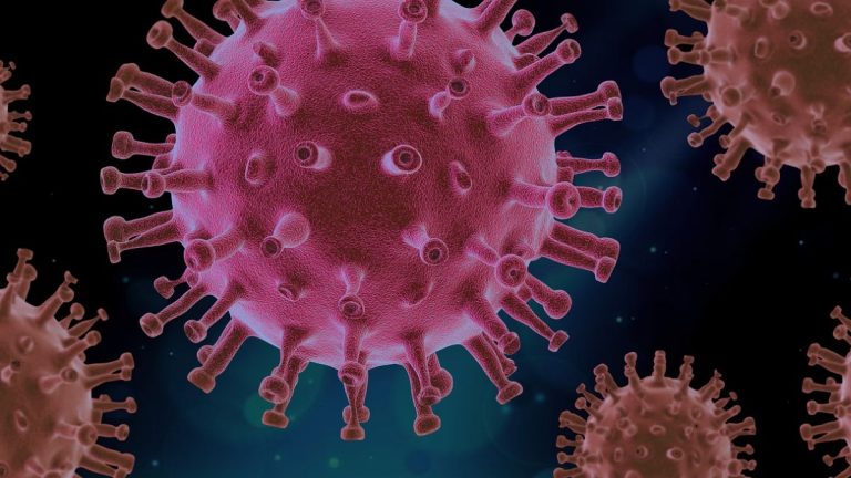 Coronavirus, possibili seri danni al cervello per i contagiati: i risultati dello studio Coronavirus, possibili seri danni al cervello per i contagiati: i risultati dello studio
