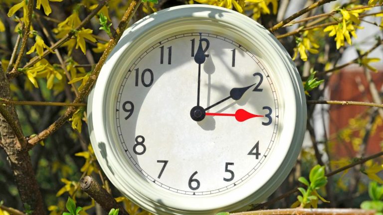 Ora legale 2025, gli effetti nocivi sulla salute del cambio orario e gli accorgimenti per ridurre l’impatto Ora legale 2025, gli effetti nocivi sulla salute del cambio orario e gli accorgimenti per ridurre l’impatto