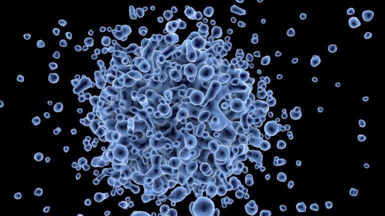 Virus ibrido ‘mai osservato finora’, la nuova scoperta: fonde influenza e Rsv, l’allerta dei ricercatori Virus ibrido ‘mai osservato finora’, la nuova scoperta: fonde influenza e Rsv, l’allerta dei ricercatori