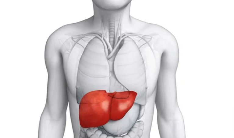 Fegato, il tumore che si “nasconde”: ecco i sintomi e come riconoscerlo