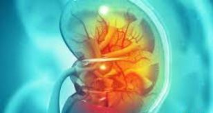 Insufficienza renale