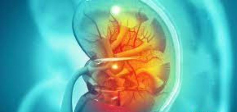 Attenzione a questi sintomi: ecco come accorgersi che i reni non funzionano bene. Tutti i dettagli Attenzione a questi sintomi: ecco come accorgersi che i reni non funzionano bene. Tutti i dettagli