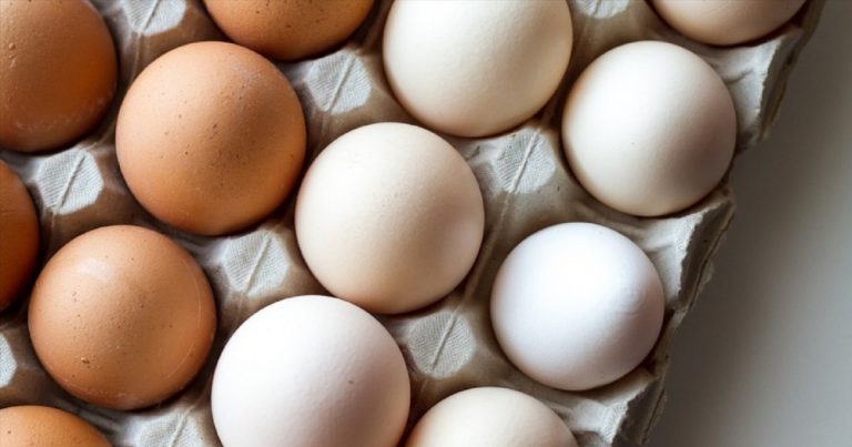 Occorre lavare le uova prima di cucinarle? Ecco cosa consigliano gli esperti Occorre lavare le uova prima di cucinarle? Ecco cosa consigliano gli esperti