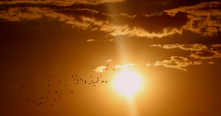 Come si spegnerà il Sole e cosa accadrà alla specie umana? Ecco la risposta della scienza Come si spegnerà il Sole e cosa accadrà alla specie umana? Ecco la risposta della scienza