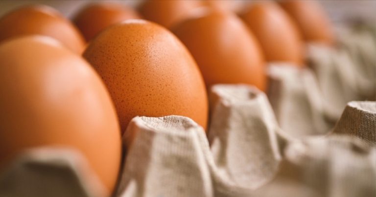 Carenza di uova, Lidl e altri supermercati iniziano il razionamento nel Regno Unito a causa dell’aviaria: accadrà anche in Italia?