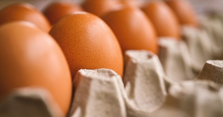Allerta alimentare, ritirati diversi lotti di uova fresche per rischio contaminazione: i dettagli Allerta alimentare, ritirati diversi lotti di uova fresche per rischio contaminazione: i dettagli