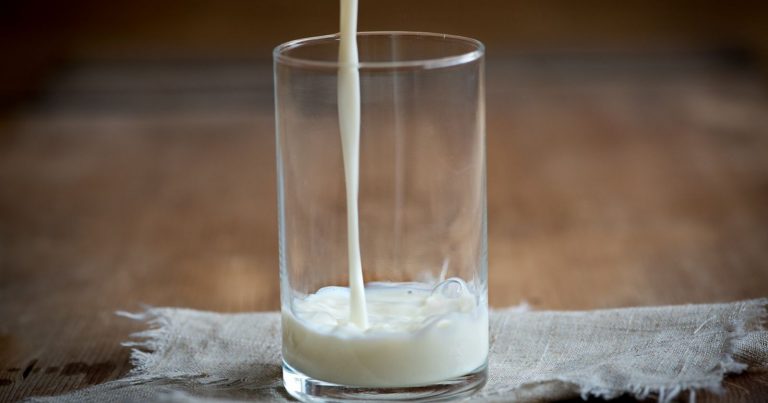 L’avvertimento dell’Oms: “Non bevete questo latte”.  Ecco perché è stato emesso questo avviso L’avvertimento dell’Oms: “Non bevete questo latte”.  Ecco perché è stato emesso questo avviso