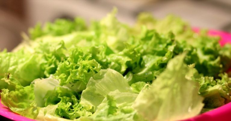 Le insalate in busta sono veramente pronte da mangiare? Ecco cosa si è scoperto con questo test Le insalate in busta sono veramente pronte da mangiare? Ecco cosa si è scoperto con questo test