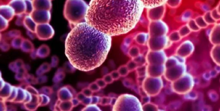 Diversi bambini morti a causa della scarlattina, lanciato l’avvertimento. Ecco cosa sta succedendo e dove Diversi bambini morti a causa della scarlattina, lanciato l’avvertimento. Ecco cosa sta succedendo e dove
