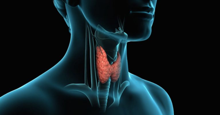 Ipotiroidismo, questi alimenti sono fondamentali per chi ha problemi di tiroide