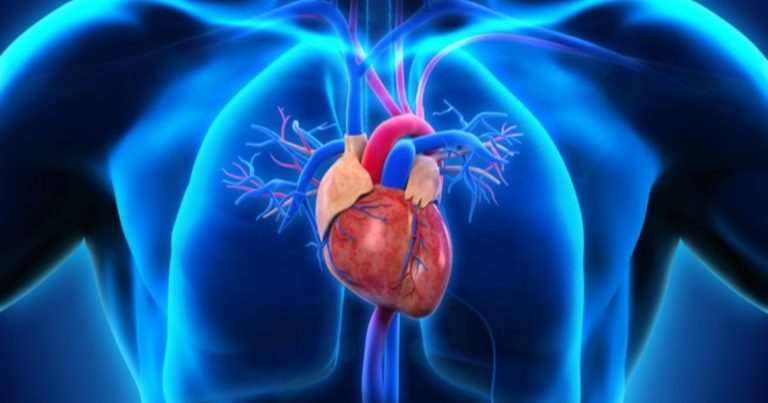 Fibrillazione atriale, fate attenzione: può indicare queste gravi patologie. Sintomi e cause Fibrillazione atriale, fate attenzione: può indicare queste gravi patologie. Sintomi e cause
