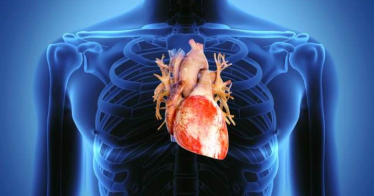 Caldo intenso e rischi per il cuore, il cardiologo Sergio Agosti svela come proteggersi e quali sono i segnali da non trascurare Caldo intenso e rischi per il cuore, il cardiologo Sergio Agosti svela come proteggersi e quali sono i segnali da non trascurare