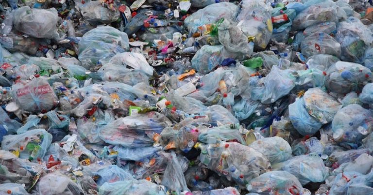 Bonus rifiuti, come richiederlo, a chi spetta lo sconto e quali sono i requisiti