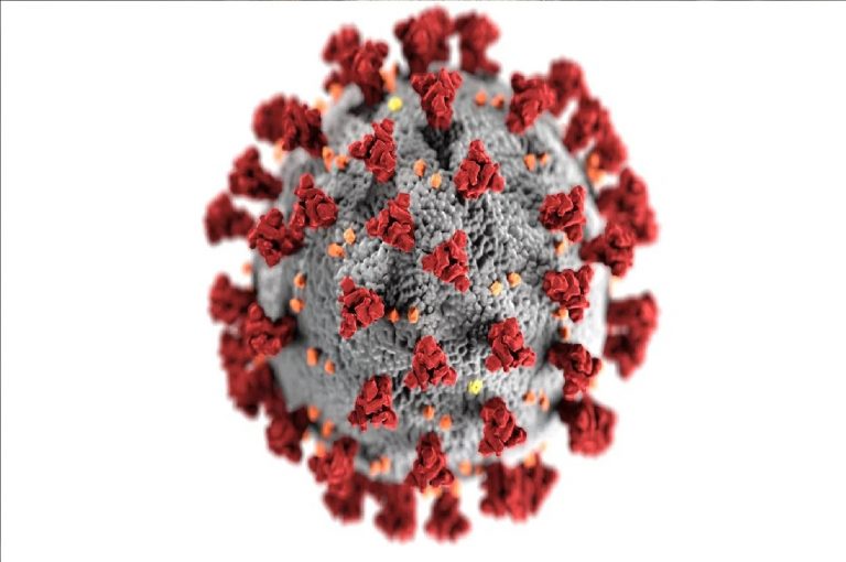 Uno studio getta nuova luce sugli impatti cerebrali a lungo termine del COVID