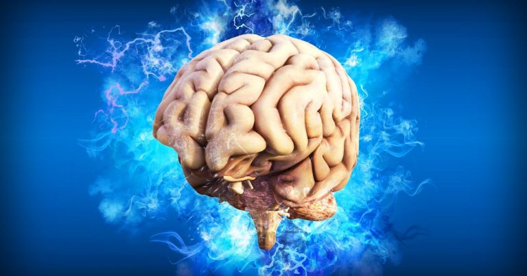 La rimozione delle ovaie potrebbe avere un impatto negativo sul cervello: i risultati di una ricerca La rimozione delle ovaie potrebbe avere un impatto negativo sul cervello: i risultati di una ricerca