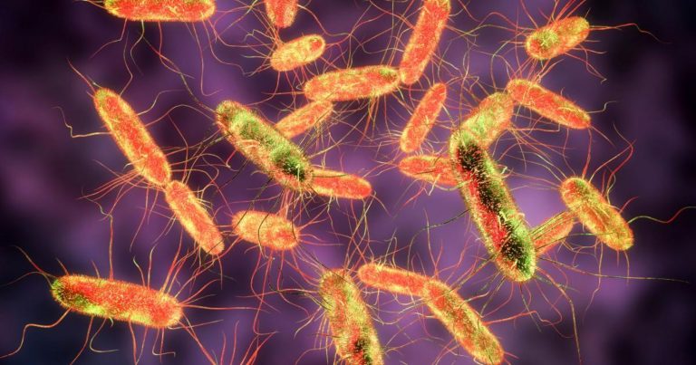 Cucinare questo cibo in un modo specifico è pericoloso: ecco quale e perché Cucinare questo cibo in un modo specifico è pericoloso: ecco quale e perché