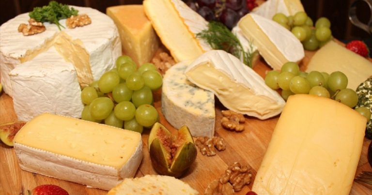 Mangiare formaggio tutti i giorni fa male alla salute? Ecco la verità raccontata dagli esperti