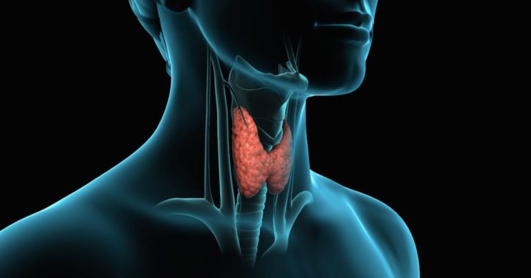 Tumore della tiroide, attenzione a questi sintomi che possono rappresentare un segnale da non ignorare