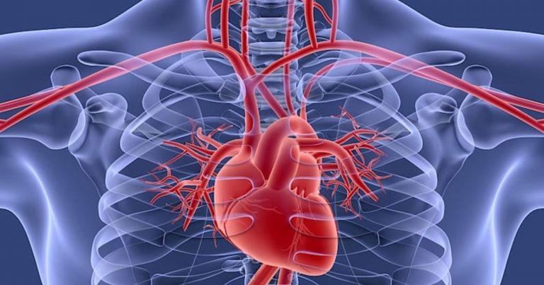 Cattiva circolazione, attenzione a questi segnali: non sempre sono facili da riconoscere Cattiva circolazione, attenzione a questi segnali: non sempre sono facili da riconoscere