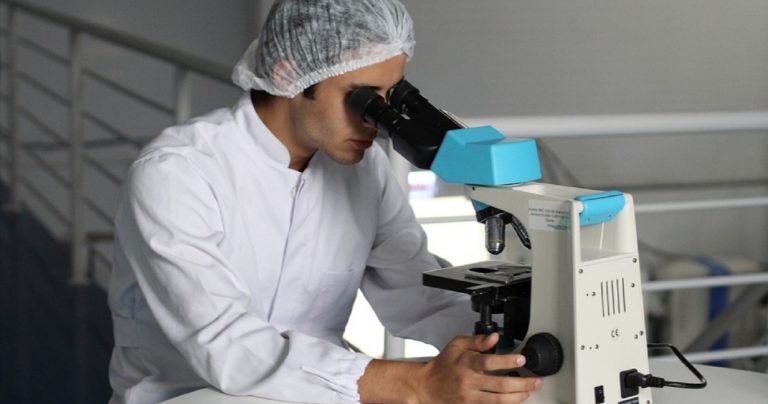 Influenza aviaria, gli esperti fanno una agghiacciante scoperta: “Si annida facilmente nel cervello….” Influenza aviaria, gli esperti fanno una agghiacciante scoperta: “Si annida facilmente nel cervello….”