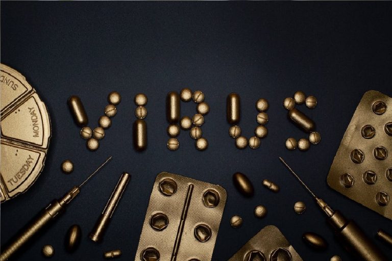 Influenza, in Italia 262 virus “cugini”. Ecco cosa sono e come distinguerli dal Covid Influenza, in Italia 262 virus “cugini”. Ecco cosa sono e come distinguerli dal Covid