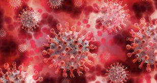 virus