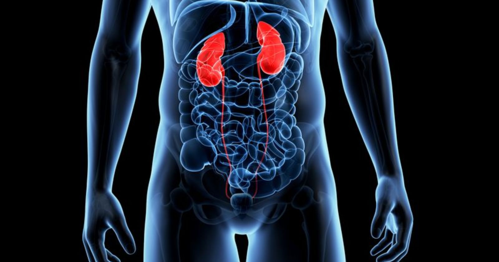 Attenzione a questi sintomi: ecco come accorgersi che i tuoi reni non ...