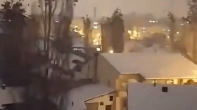 Terremoto in Turchia, lo strano comportamento degli uccelli prima del sisma: così gli animali hanno “previsto” il pericolo Terremoto in Turchia, lo strano comportamento degli uccelli prima del sisma: così gli animali hanno “previsto” il pericolo