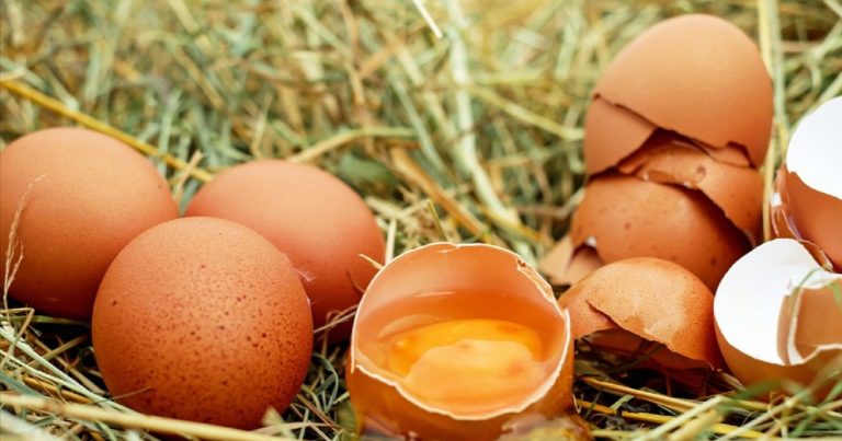 Non buttare via i gusci d’uovo: puoi mangiarli e allontanare il rischio di osteoporosi