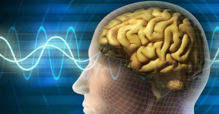 Meningite batterica che ha colpito il ragazzo di 17 anni: si manifesta con questi sintomi Meningite batterica che ha colpito il ragazzo di 17 anni: si manifesta con questi sintomi