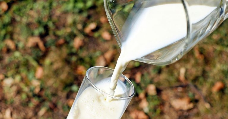 Scadenza del latte, adesso potrebbe essere eliminata per lasciare al consumatore la scelta: i dettagli Scadenza del latte, adesso potrebbe essere eliminata per lasciare al consumatore la scelta: i dettagli