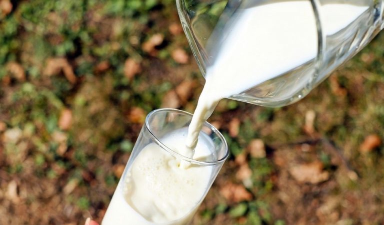 Un bicchiere di latte al giorno può ridurre il rischio di cancro intestinale fino al 14%, secondo uno studio Un bicchiere di latte al giorno può ridurre il rischio di cancro intestinale fino al 14%, secondo uno studio