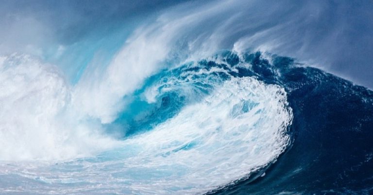 Gli scienziati hanno scoperto qualcosa di catastrofico negli oceani: a rischio flora e fauna, ecco di cosa si tratta