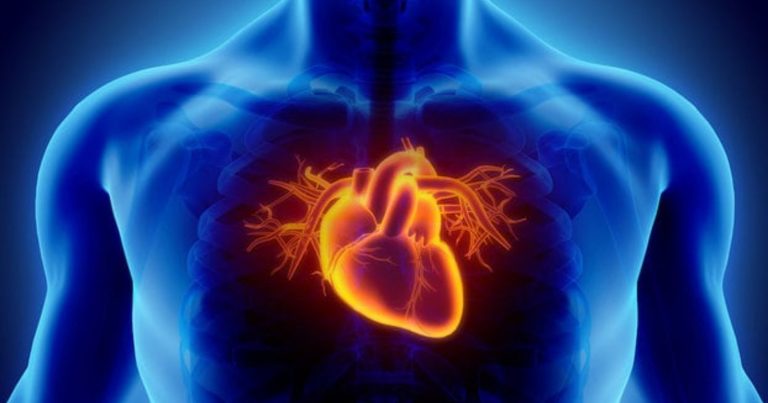 Dissezione aortica, i sintomi che devono farci preoccupare: ecco come riconoscerla e curarla Dissezione aortica, i sintomi che devono farci preoccupare: ecco come riconoscerla e curarla