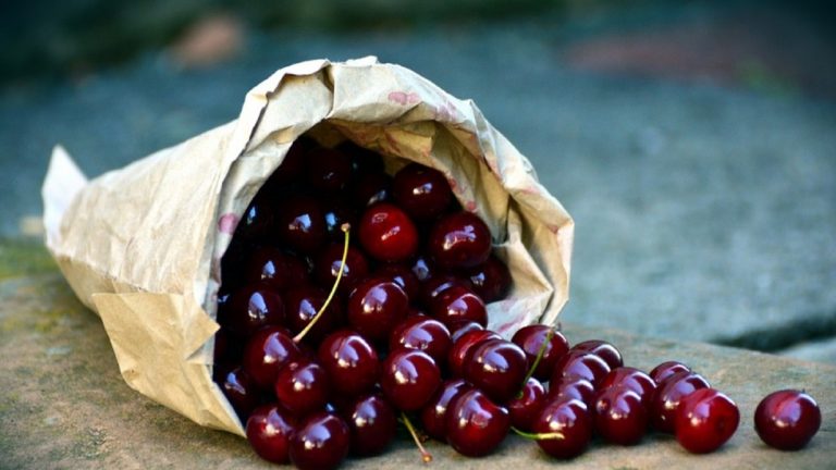 Ciliegie, ecco il piccolo trucchetto per capire se c’è il verme dentro e se si può mangiare