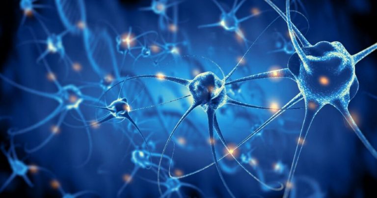 Sclerosi multipla, ecco i primi sintomi della malattia: quali sono e cosa fare Sclerosi multipla, ecco i primi sintomi della malattia: quali sono e cosa fare