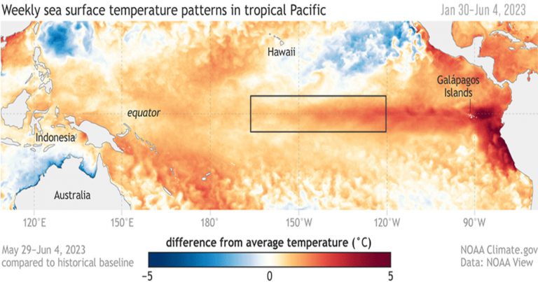 Meteo – El Niño è ufficialmente iniziato secondo il report della NOAA con probabile evento intenso; le ultimissime